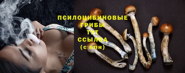 винт Арсеньев